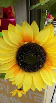 Deym54606074's profile picture. 