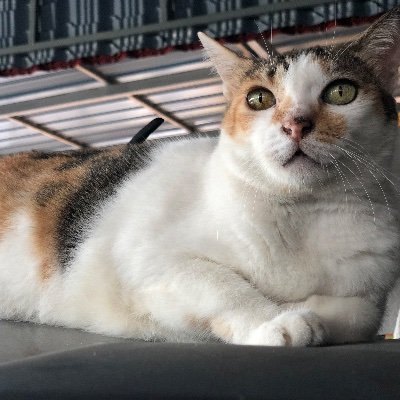 ainnnnyusri's profile picture. 