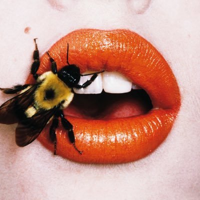 Objet Petit Ana On Twitter Hilarious Factoid About