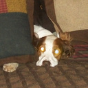 Lisa Persinger - @persinla - Twitter