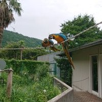 個人臨配 ケイズ (@np62e7qeahymurs) Twitter profile photo
