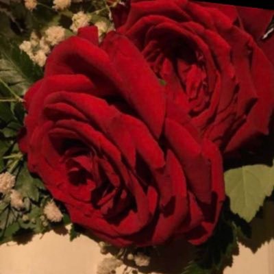 لاني بندمان على كـل مـا فـات أخذت من حلو الزمان ورديه .. هذي حياتي عشتها كيف ماجات'آخذ من أيامي وأرد العطيه♥️