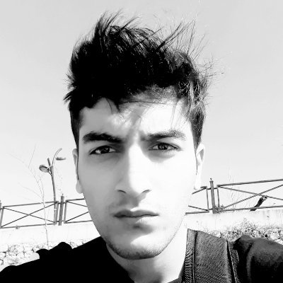 mohsenireza_t's profile picture. Developer