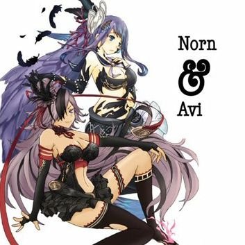 アヴィ(ペッツのたま)ᓚᘏᗢ完凸のたまたまさんのプロフィール画像