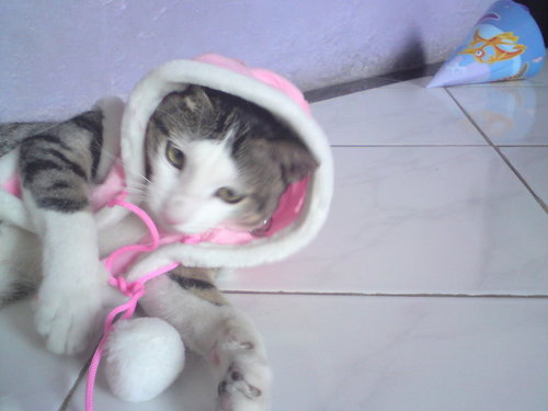 timothyothy's profile picture. im a great :) wwjwjjwwkwkwkw noo noo no just kidding