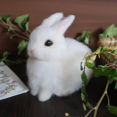 *Rabbit'sForestGarden*
🐰羊毛フェルトうさぎ専門作家🐰あなたの愛うさぎさん、心を込めて制作します。令和11年頃までオーダーいっぱいです。羊毛うさぎを見てもらえるだけでも嬉しいです✨