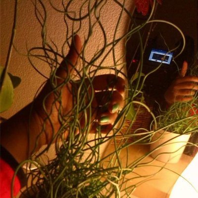 charicherry181's profile picture. 