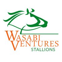 WasabiStallions(@WasabiStallions) 's Twitter Profileg