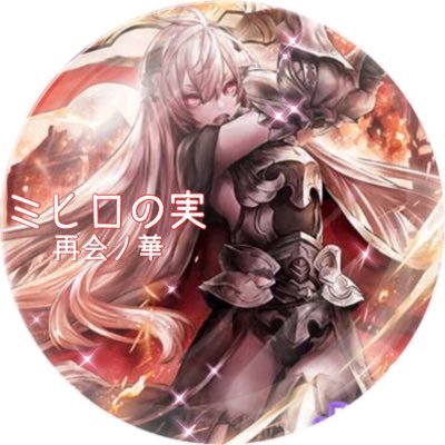 ミヒロの実 再会ノ華 イルメリちゃん大好き オルサガ オルサガ 3周年
