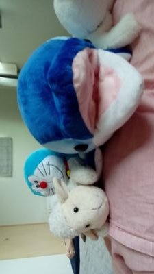 sibco3's profile picture. 無言フォロー失礼いたします