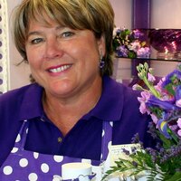 Barbara  McCahill (@purpleologistmb) 's Twitter Profile