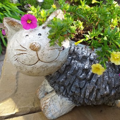 harleytoast17's profile picture. Variety is the spice of life