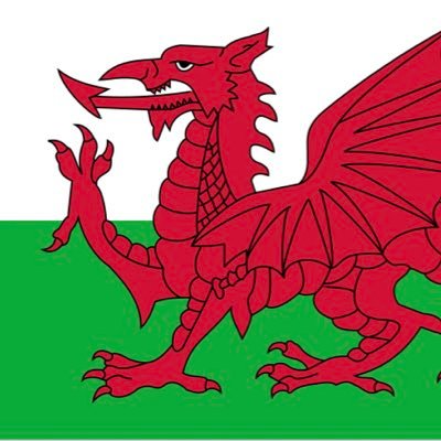 Welsh cardiff city and fantasy football fan. 17.7k OR 23/24