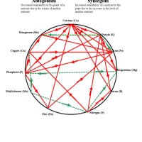 Micros In Agriculture (@microsforcrops) 's Twitter Profile