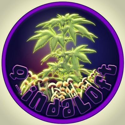 q_indaloft2 Profile