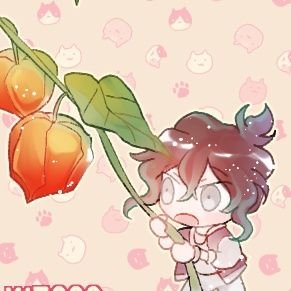 🌺씨앗미션🌺さんのプロフィール画像