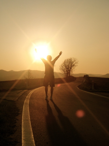 tf303's profile picture. 