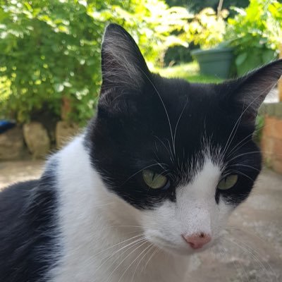 DeborahFi1's profile picture. 