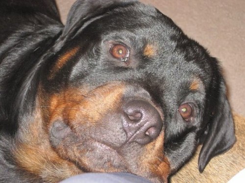 timewave10's profile picture. 