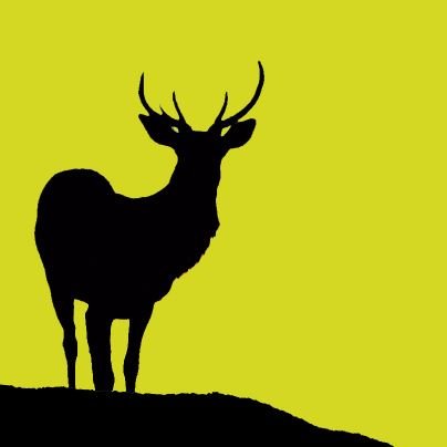 bramaaltpallars's profile picture. Servei d'informació gratuït de la brama del Cérvol a l'Alt Pallars. info@bramaaltpallars.cat