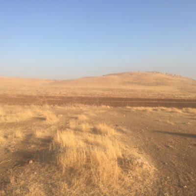 Karahantepe Kazısı Resmi Hesabı