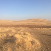 Karahantepe (@karahantepe) 's Twitter Profile