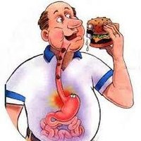 Acid Reflux Facts(@AcidRefluxFacts) 's Twitter Profile Photo