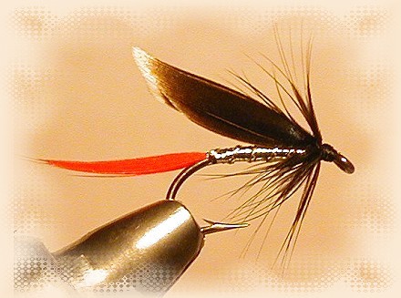 jonsfg's profile picture. 