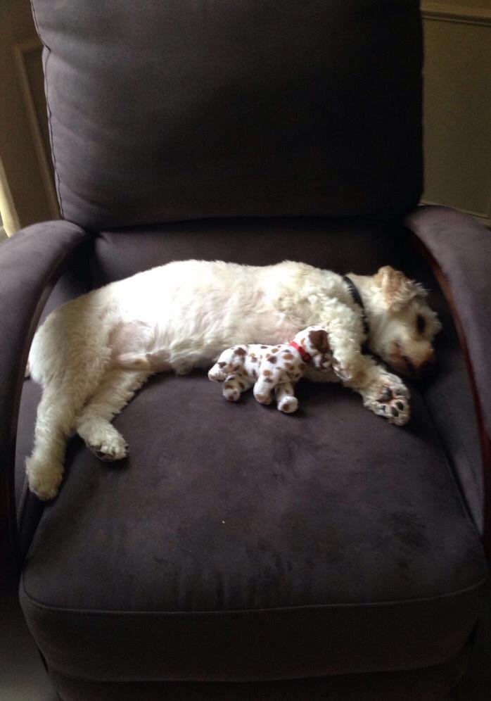 SamanthaS_nthc's profile picture. 