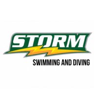 Storm Swim and Dive 🌪⚡️ (@srrswim) 's Twitter Profile