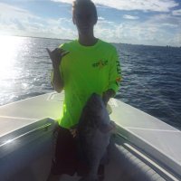 Luke Hane (@lukehane) 's Twitter Profile