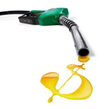 You Can Get Half Priced Gas at Any Pump!... and Earn BIG Money Doing It!