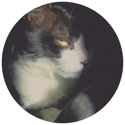 jc__2001__'s profile picture. 🌎