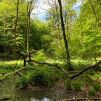 AUF_UniRostock (@aufunirostock) Twitter profile photo