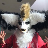 Rebecca the furry - @Rebeccathefurr1 Twitter Profile Photo