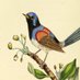 Museum Tweeter (@museumtweeter) Twitter profile photo Museum Tweeter (@museumtweeter) Twitter profile photo