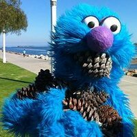 Chunk (@chunkerrific) 's Twitter Profile