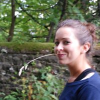 catherine de lange (@catdl) 's Twitter Profile