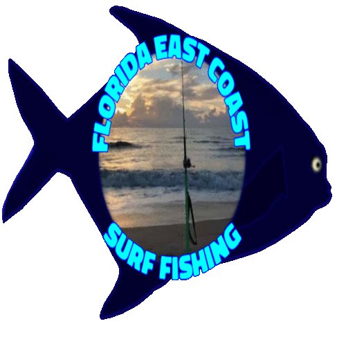 Florida East Coast Surf Fishing FB Group #Floridafishing #FishReports #Christian #Florida #SurfFishing #Fishing #USA #MAGA #FL #FF #Saltwater #Outdoors #Hunting