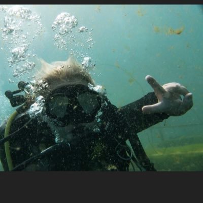 nursanesthetist's profile picture. 