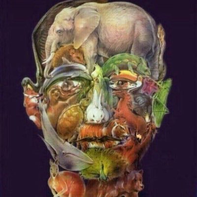 elcoloraodecai's profile picture. 