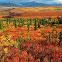 Jane Light - @Jane_Light - Twitter