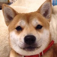 大津 悠真/amyu (@sansosiga_1129) Twitter profile photo