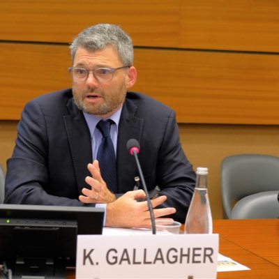 Kevin P. Gallagher Profile