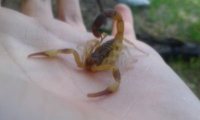 p_a_t_02384's profile picture. 