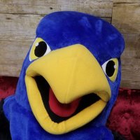Hollingworth PTO (@hollingworthpto) 's Twitter Profile Photo Hollingworth PTO (@hollingworthpto) 's Twitter Profile Photo
