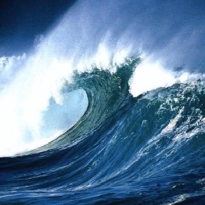 BJTsunami's profile picture. 