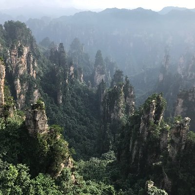 George2000025's profile picture. 