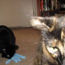 Jennifer Quinn - @TheJenQuinn - Twitter