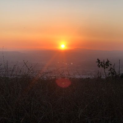 bo95_beast's profile picture. 